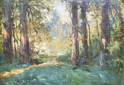 Forest Landscape